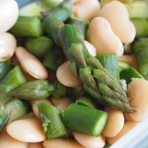 theveggieblackboard:  VEGAN PACKED LUNCH RECIPE IDEA: AVOCADO, BUTTER BEAN, ASPARAGUS AND CUCUMBER SALAD  ½ cucumber 1 can of butter/lima beans 5 stalks of asparagus 1 avocado favorite dressing / pesto baby tomatoes (nice extra)  This salad is