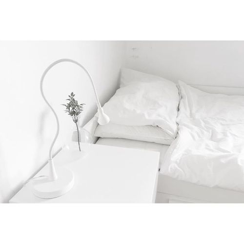 maisonsblanches:  http://iconosquare.com/p/ 