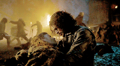 mihtrandir:  got/asoiaf meme  {6/7 quotes} → “What had it all been for? No happy