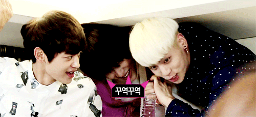 bangsterwife:meet SHINee the idiots
