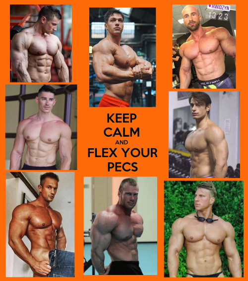 muscle-beach-party: A “SHOUT OUT!” TO THE BIGGEST AND BEST PECS IN BODYBUILDING!!! MOST GUYS WHO BOD