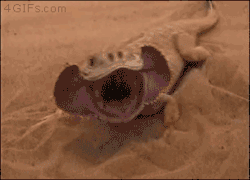 4gifs:  When you wake up and remember you