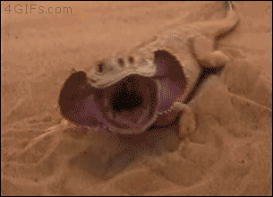 4gifs:  When you wake up and remember you don’t have to go to work today. [Previously]
