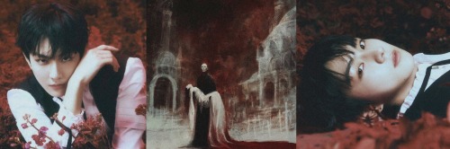 Prologue 
