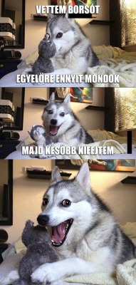 cookiemese:  sammypix:  istenallatkertje:  Indokolatlanul nevetek  Enis  :DDDDDDDDDDDDD AJJAJ