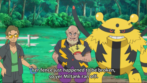 multiscales:Friendly reminder that an episode of Pokemon anime involved a native, Hawaiian family be