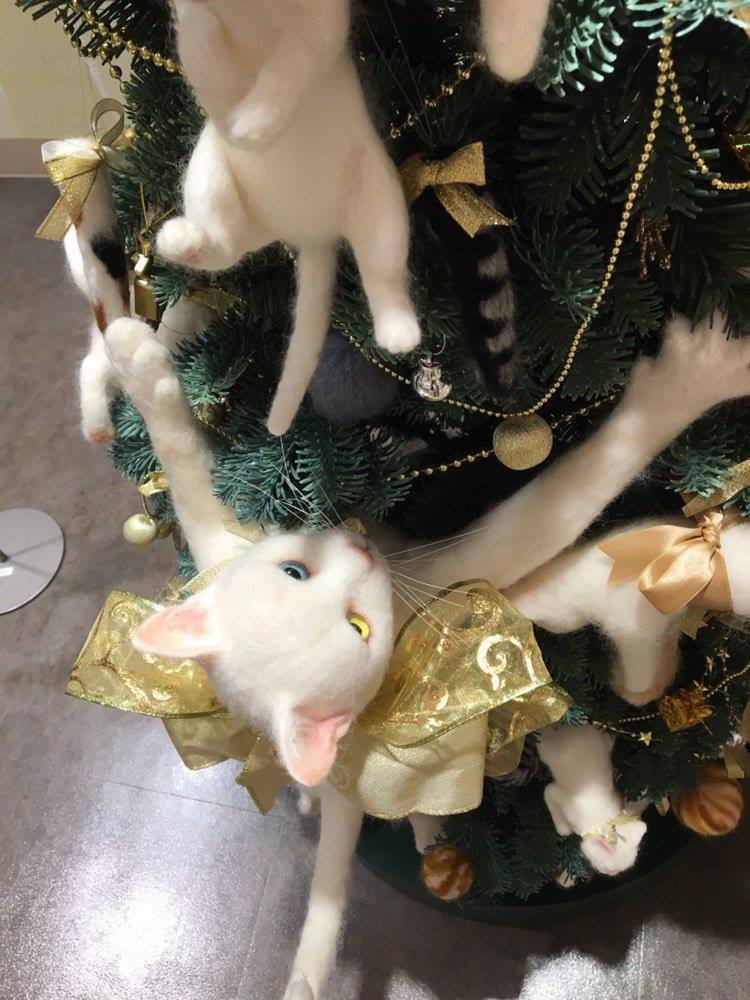 catsbeaversandducks:  For cat lovers who don’t have  feline friends at home.Via