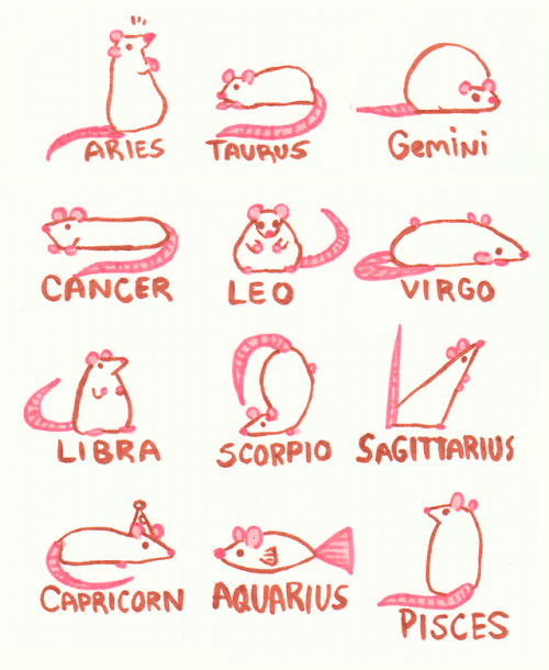 petpet:rat zodiac