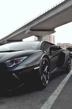 wearevanity: Classic Aventador © 