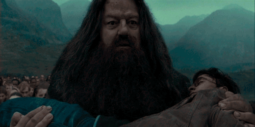 Hagrid Says Goodbye 