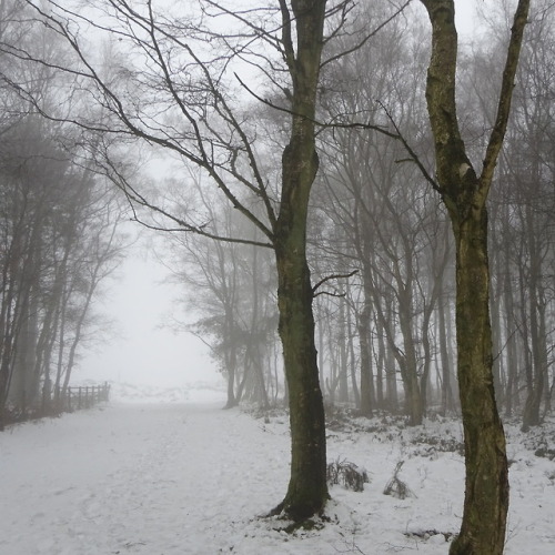 Winter walks in Yorkshire