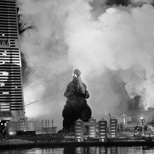 godzilla vs. mothra (1992)