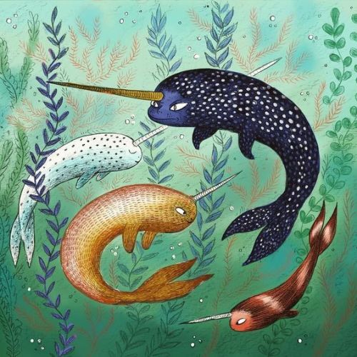 thewoodbetween: Freya Hartas - Narwhals