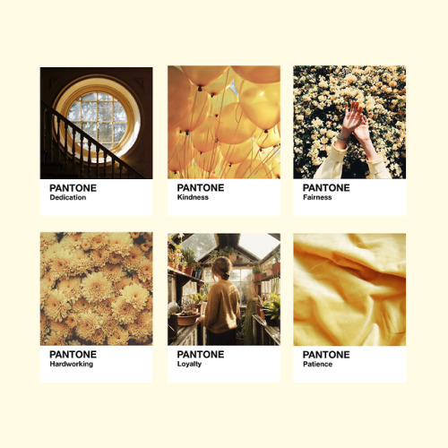 calcalores: @hogwartsonline | colour palettes