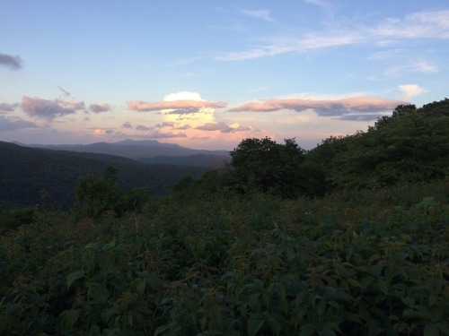 Roan Highlands, Tennessee-June 2018