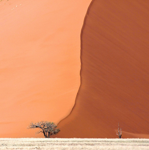 vurtual:  Life is always a struggle against mighty forces (by adour garonne) 