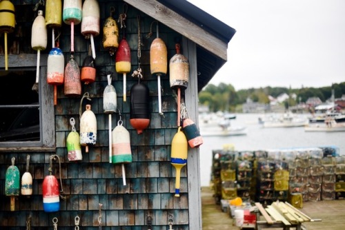 2nd October 2019 - Life by the sea, Thurston’s Lobster Pound, Acadia, USA