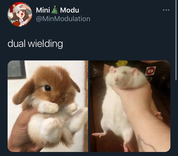 g-a-y-g-o-y-l-e:moistdirts:aquatic-turquoise:gayrika:guooey:I read that as dual wedding