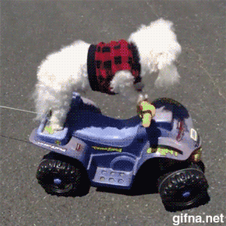 funny-gif-1:  Other Funny Gİfs http://funny-gif-1.tumblr.com/