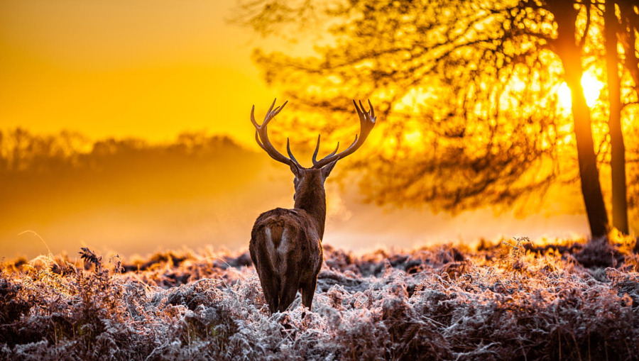 earthlynation:  Untitled. Photo by Arturas