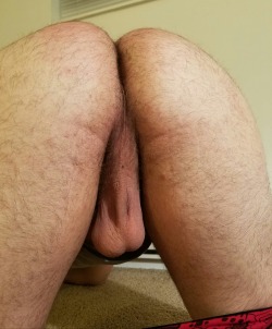 bearlywill.tumblr.com post 155429950541