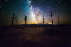 Earthporn:  A Summer Night @ Mt. Shasta, Ca. [Oc] [2048X1350] By: Kelimandya