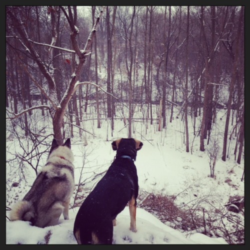 winter walk