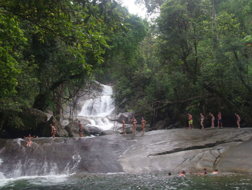 oceaniatropics:   Josephine Falls, queensland, Australia, by  Russell Cumming