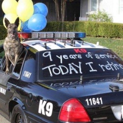 southernsideofme:  Proud Pupper