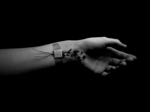 sunlight-on-skin:  ☂ Dark network ☂