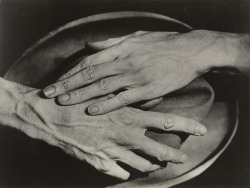 Antitacta:  Berenice Abbott, Hands Of Jean Cocteau, 1927 