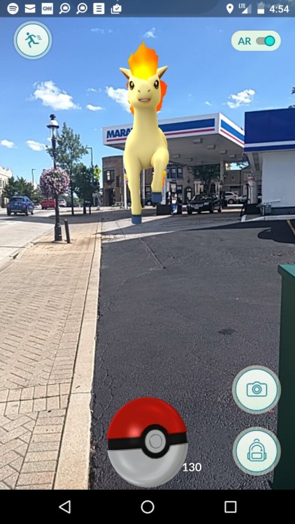 theaveragestblog:PONYTA GET AWAY FROM THE GAS STATION YOU’RE GOING TO KILL US ALL