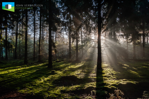 Een cadeau op zondagochtend: Schadijkse bossen, Meterik (Lb) Als je mij al langer volgt weet je dat ik vaak hamer op het goed voorbereiden voor je op pad gaat. Als je wat verder bent in je fotografie merk je dat spontaan ergens gaan fotograferen op...