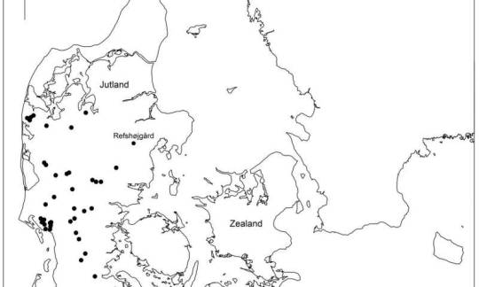 Scandinavia's earliest farmers exchanged terminology with Indo-Europeans