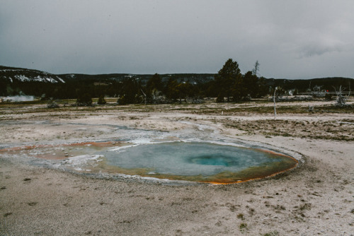 julianajohnsonphoto:Upper Geyser BasinYellowstone National Park, Wyoming, Part XXXMay 2017It’s hard 