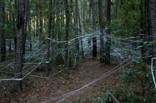 mexicanist:  The Fog A 46,000 sq. ft. environmental installaton created from 16 miles of reclaimed cotton fabric and twine that visually illustrates the cycles of nature. 