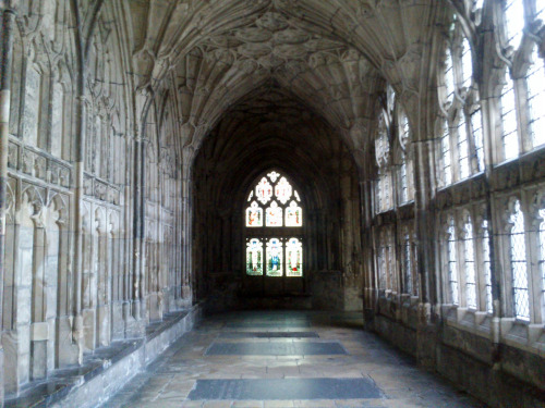 lemonsadventures:Gloucester Cathedral’s cloisters, Gloucester, England