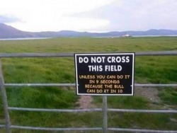 feministcaptainkirk:  I’d bet any money this field is in Ireland