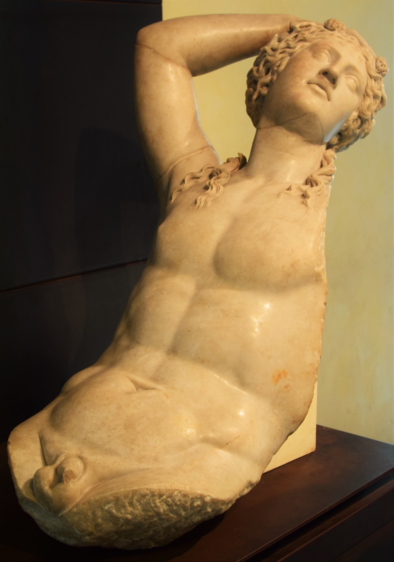 tivoli2:  Dionysos in Musei Capitolini, RomePhoto by Tivoli   tivoli2.tumblr.com