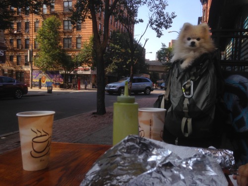 Hanging around eyeing some coffee.