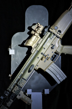 house-of-gnar:  SCAR 16 S with TAC Strike