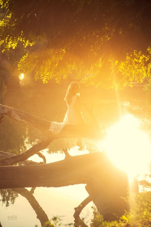 groteleur:  The Silliest Holidays in August >
