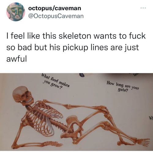 ex0skeletal-undead:echo1331:  gay-irl:Gay_irl   @ex0skeletal-undead ha   Not sure what they mean by awful these lines would work on me 