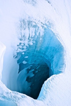 Wolverxne:   Where The Ice Men Are | By: Shann Biglione  