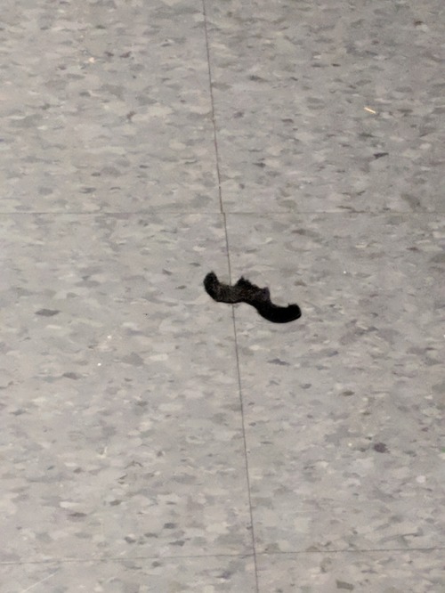 necrofuturism: i-am-the-egg: necrofuturism: there was a moustache on the floor at the movie theater 