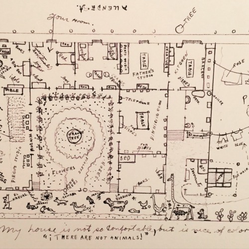 beelavender:Hand drawn map, Frida Kahlo garden. From the NYBG Frida Kahlo exhibition. 