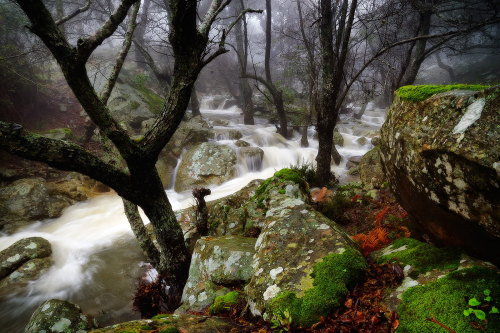 expressions-of-nature:  photography by: César adult photos