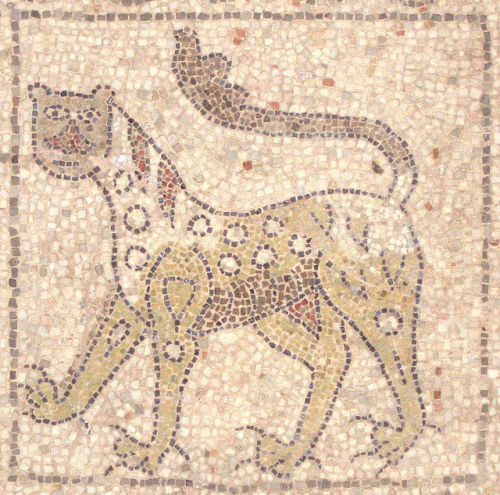 fuckyeahwallpaintings: Floor mosaic fragments of San Giovanni Evangelista, Ravenna, Italy, 1213 Phot