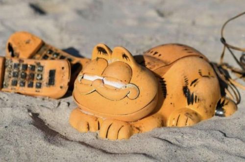 Mystery solved! Why a bunch of Garfield phones washed up on a French beach(You could say it was a lo