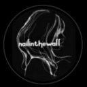 nail-in-the-wall avatar